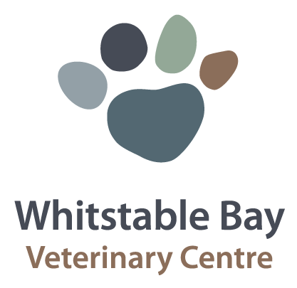 Whitstable Bay Veterinary Centre - Whitstable