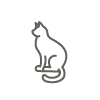 Cat-Care-Services-Vets-Whitstable